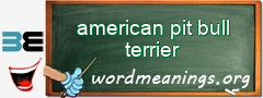 WordMeaning blackboard for american pit bull terrier